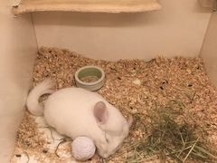 -龙猫仔乐园(惠福东路店)