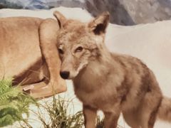 -陕西自然博物馆