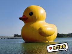 -深圳人才公园