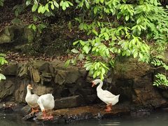 -兰亭风景区