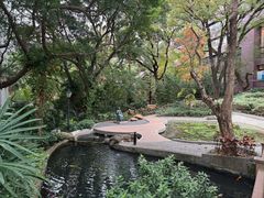 -香港大学