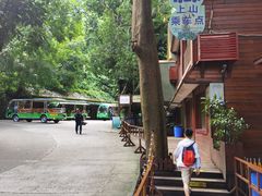 -西双版纳原始森林公园