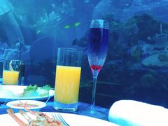 -海棠湾洲际-涛·海底餐厅·美人鱼·自助餐·海底隧道