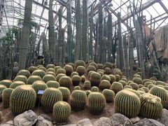 -南山植物园