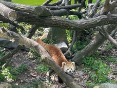 -杭州少年儿童公园