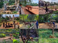 -海南热带野生动植物园