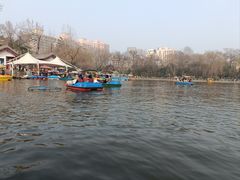 -莲湖公园