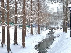 -白水寺森林公园