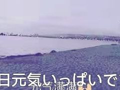 -圣地亚哥动物园