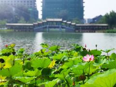 -西海子公园