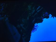 -上海市普陀区文化馆