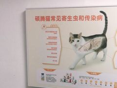-宠颐生宠物医院外科·内科·皮肤科·影像科(石龙店)