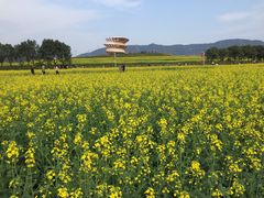 -光明小镇欢乐田园