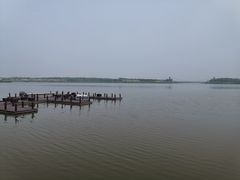 -西青郊野公园