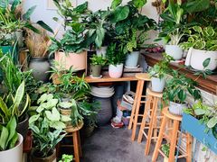 -泉乐坊步行街(烟酒特产平价超市店)