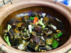 啫啫黄鳝-天宝食坊·啫啫煲大排档(西华路店)
