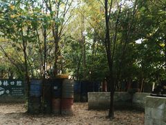 -勇士之星真人CS·团建·拓展(清水河公园店)