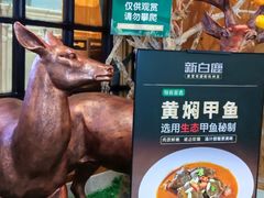 -新白鹿餐厅(城西银泰城店)