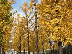 -百林公园-两江幸福广场