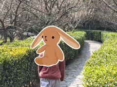 -香雪海