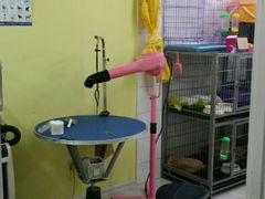 android_upload_pic-爱宠屋pet shop·宠物洗澡·宠物美容