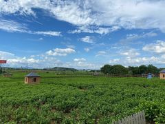 -广西体育中心-游泳馆