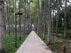 -仁和公园(顺义区)