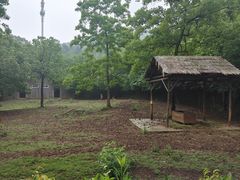-合肥野生动物园