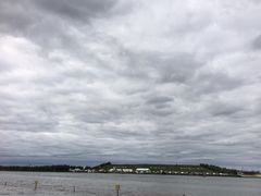 -呼兰河口湿地公园