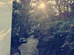 -秋霞圃