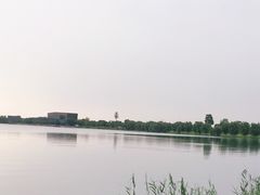 -漕湖湿地公园