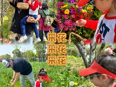 -九善农植有机生活农场
