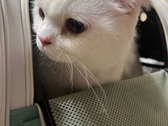 -芭比堂动物医院广州顽皮分院