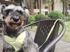 -一尺花园(安和花园店)