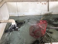 -金台阶鱼馆(于桥水库店)