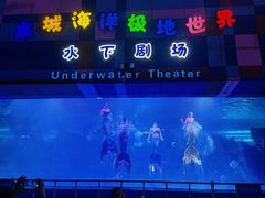 -泉城欧乐堡海洋极地世界