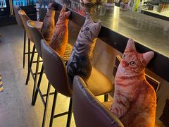 -Famous肥猫墨西哥音乐餐吧(五棵松华熙LIVE店)