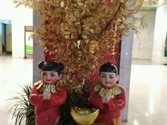-云中小雅