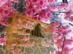 -蓝鲸湾汤泉(包河店)