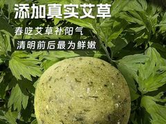 -GANSO元祖食品(锦创书城店)