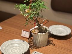 -CURRY YA 熟成咖哩專門店(深圳湾万象城店)