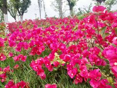-阿斯牛牛·凉山菜(新会展店)