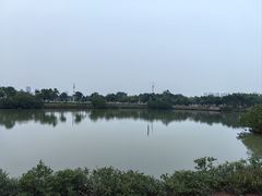 -万绿园