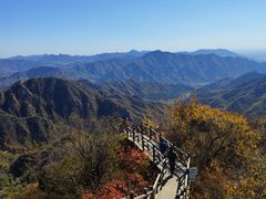 -大岭沟猕猴桃谷风景区