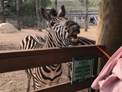 -大连森林动物园