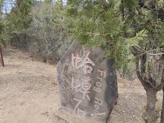 -磬锤峰森林公园