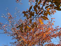 -兰陵国家农业公园