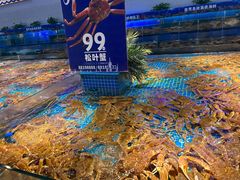 -驻海渔市(置信店)