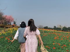 -秀丽东方
