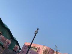 -杭州观成实验学校